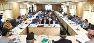 संसदीय समितिहरुको बैठक बस्यो,६ महिनापछि संसदीय समिति क्रियाशील